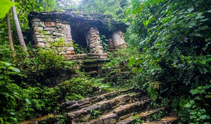 Sitio arqueológico dentro de la selva