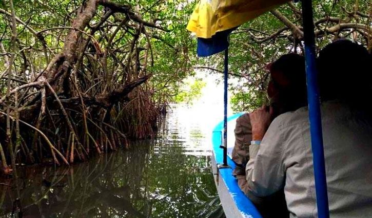 Recorrido por los manglares de Mandinga en Veracruz