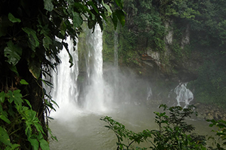 Cascada de Misol Ha en Chiapas