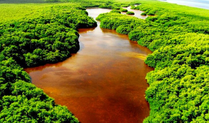 Área natural protegida en Campeche