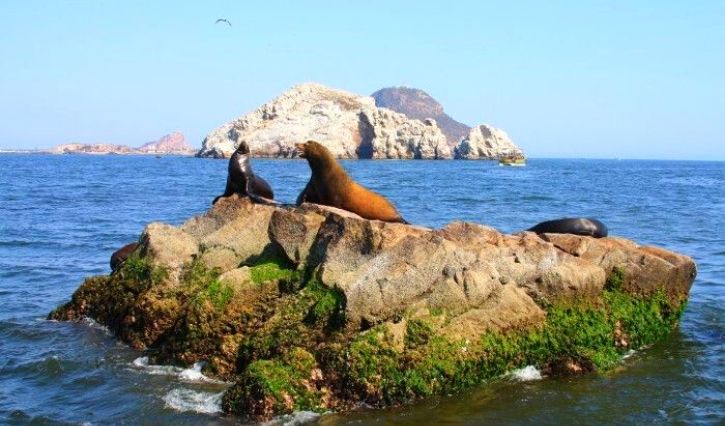 What can you visit from Mazatlán, Sinaloa? - Syctravel