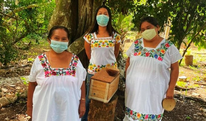Pariticipación de las mujeres indígenas en la producción de miel