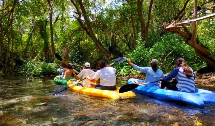Kayak para adentrarse a la reserva