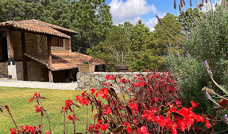 Áreas verdes del hotel Rocaval