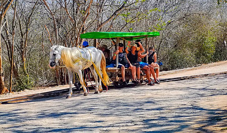 Medio de transporte para acceso al cenote