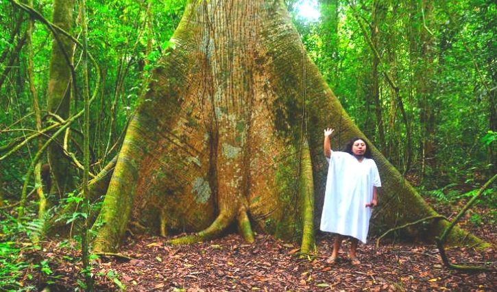Caminata en la selva Lacandona