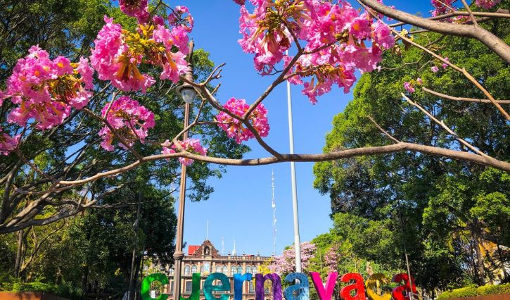 Ciudad de la eterna primavera