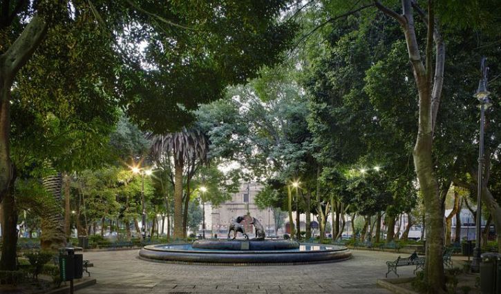 Vista panorámico del jardín centenario