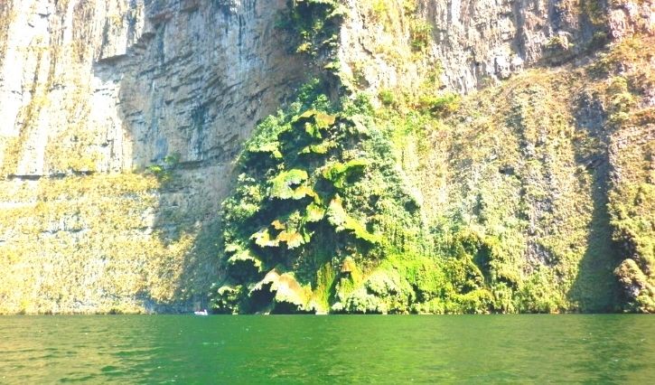 Vista de la cascada forma árbol de navidad